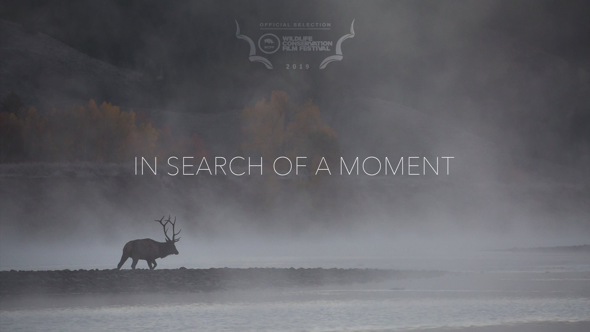 open (2022) — award winning documentary short